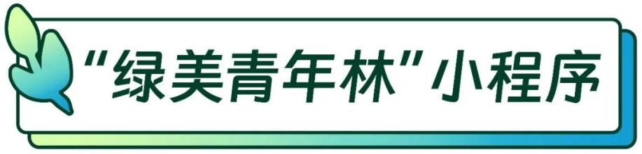 小程序建设_建设程序流程图_小程序建设方案