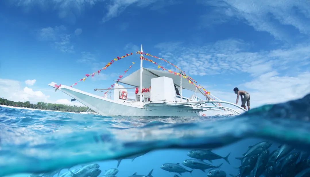 建设程序流程图_小程序建设_建设程序的概念
